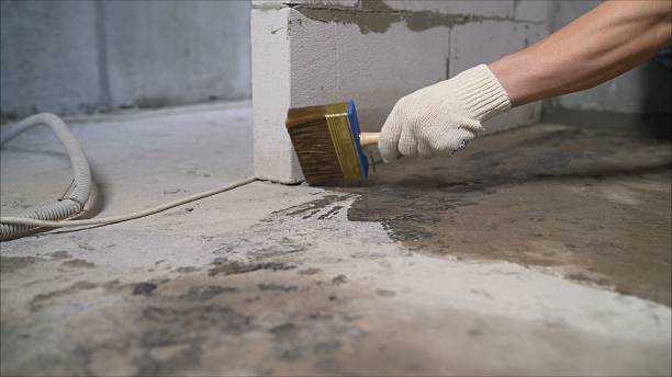 SJ Waterproofing Pros Interior Drainage System coverage map for Walkerville, MI and surrounding area